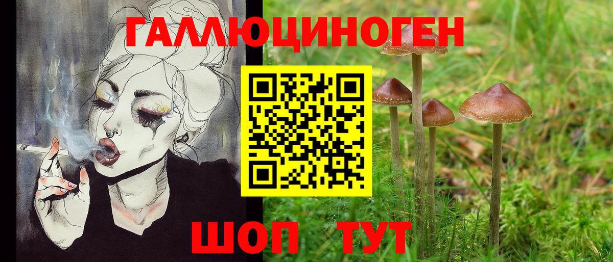 Псилоцибиновые грибы прущие грибы  закладки  Вход с VPN  Фролово  Псилоцибиновые грибы мухоморы 